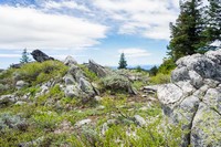 Split Rock Trail sunny day-5.jpg